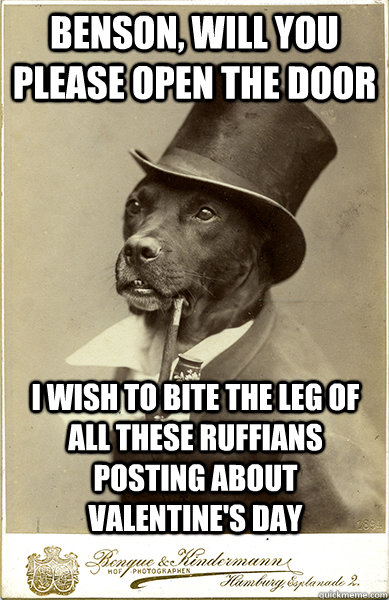 Benson, will you please open the door I wish to bite the leg of all these ruffians posting about valentine's day - Benson, will you please open the door I wish to bite the leg of all these ruffians posting about valentine's day  Old Money Dog