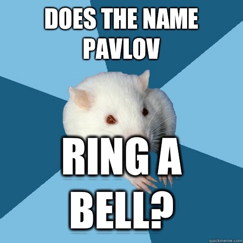 DOES THE NAME PAVLOV RING A BELL?  Psychology Major Rat