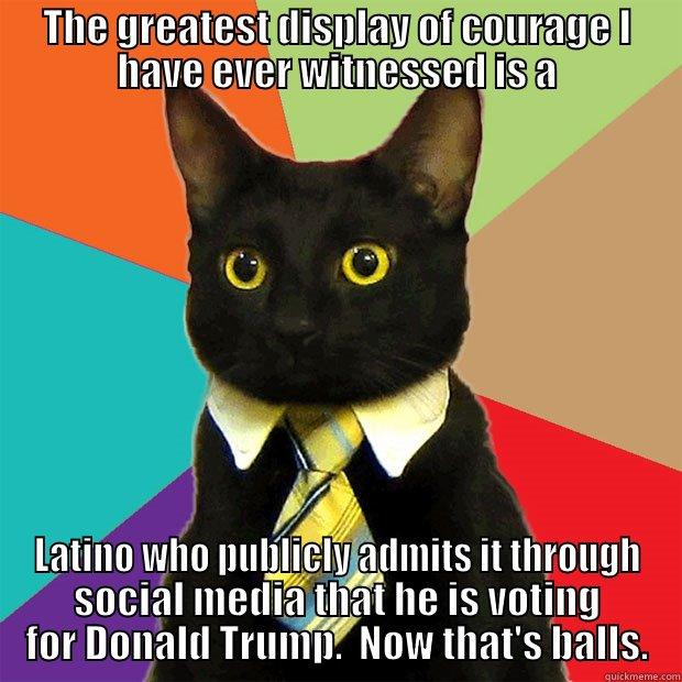 2016 Real Currrrrrage - THE GREATEST DISPLAY OF COURAGE I HAVE EVER WITNESSED IS A LATINO WHO PUBLICLY ADMITS IT THROUGH SOCIAL MEDIA THAT HE IS VOTING FOR DONALD TRUMP.  NOW THAT'S BALLS. Business Cat