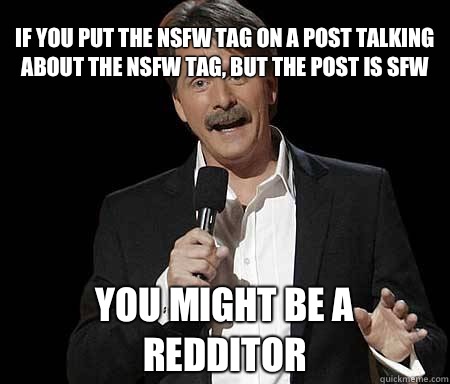 If you put the NSFW tag on a post talking about the NSFW tag, but the post is SFW you might be a redditor  Foxworthy Redditor
