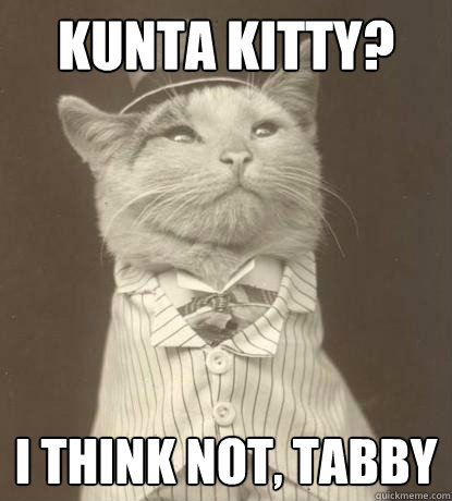 Kunta kitty? I think not, Tabby  Aristocat