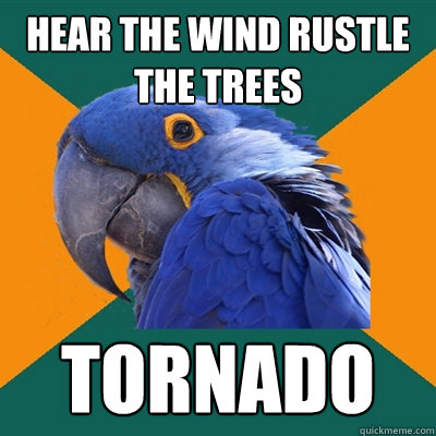 Hear the wind rustle the trees Tornado  Paranoid Parrot