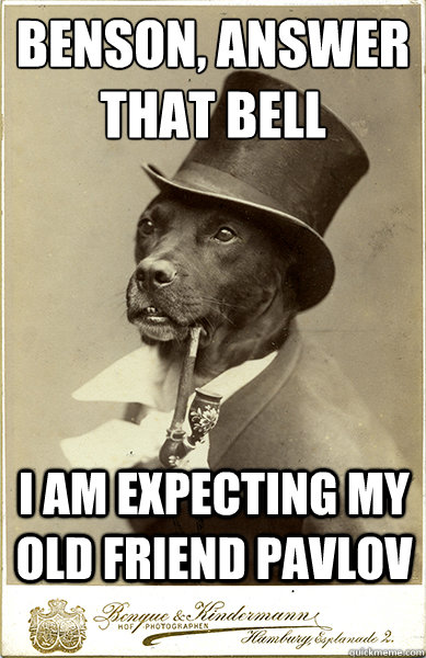 benson, answer that bell
 i am expecting my old friend pavlov  Old Money Dog