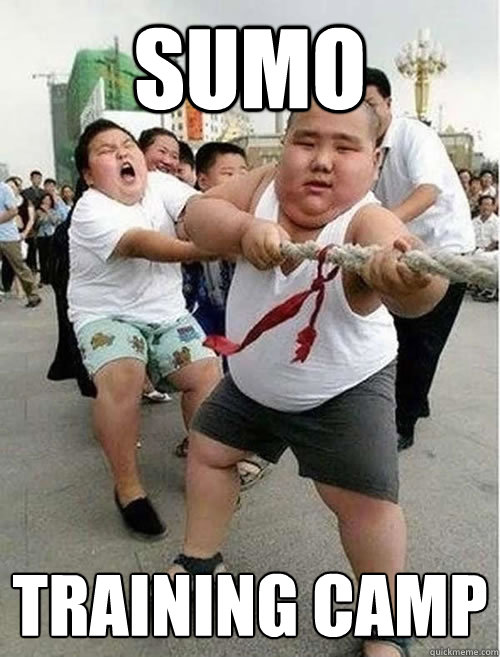 sumo training camp - sumo training camp  Fat Asians