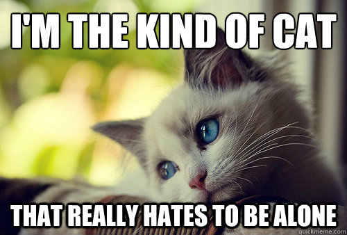 I'm the kind of cat
 That really hates to be alone  First World Problems Cat