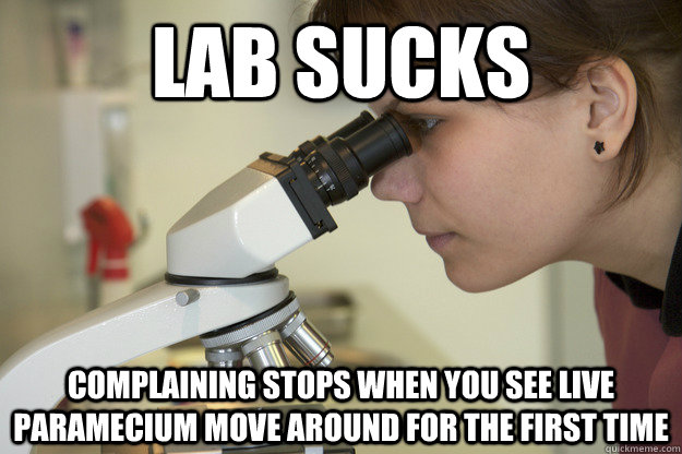 lab sucks complaining stops when you see live paramecium move around for the first time  Biology Major Student