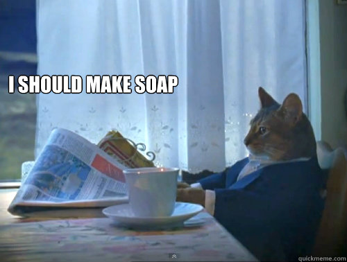 I should make soap  - I should make soap   The One Percent Cat