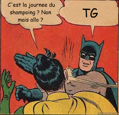  C'est la journee du shampoing ? Non mais allo ? TG  Batman Slapping Robin