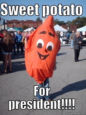 SWEET POTATO  FOR PRESIDENT!!!! Misc
