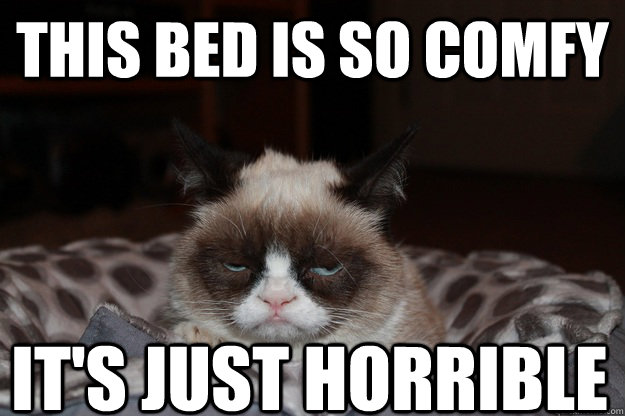 this bed is so comfy it's just horrible - this bed is so comfy it's just horrible  Beds Are Horrible, Grumpy Cat