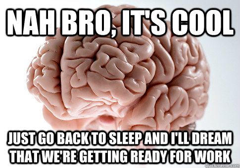 NAH BRO, IT'S COOL JUST GO BACK TO SLEEP AND I'LL DREAM THAT WE'RE GETTING READY FOR WORK  Scumbag Brain