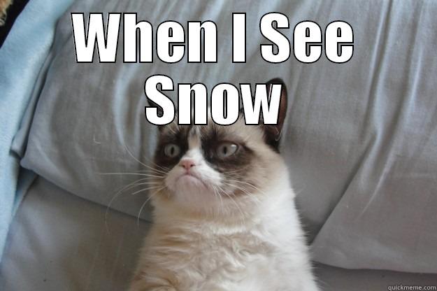 I Hate Snow - WHEN I SEE SNOW  Grumpy Cat