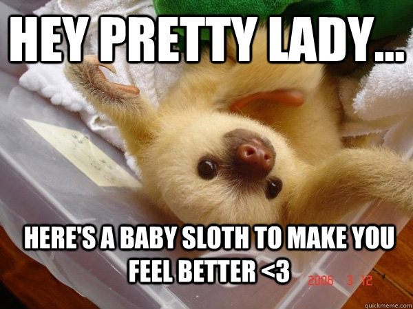 Hey pretty lady... Here's a baby sloth to make you feel better <3  