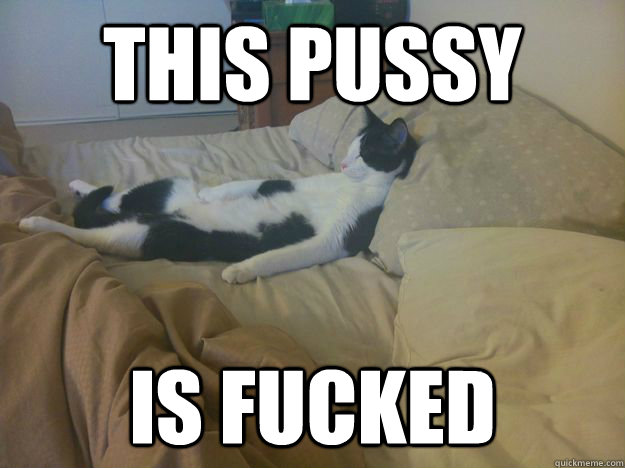 this pussy is fucked - this pussy is fucked  Misc