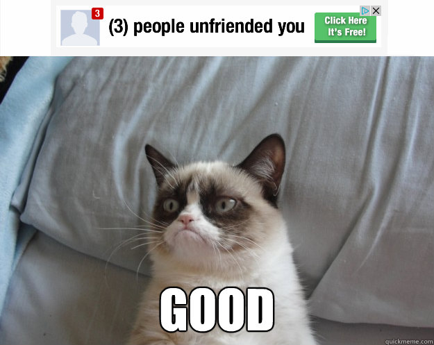  good  Grumpy Cat on Being Unfriended