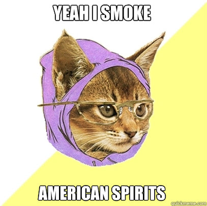 Yeah i smoke american spirits  Hipster Kitty