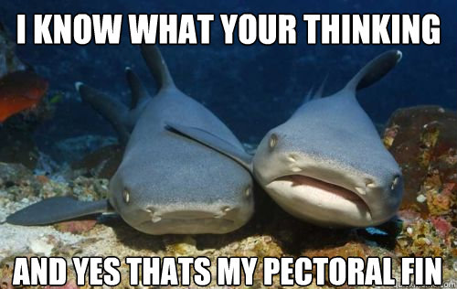I know what your thinking And yes thats my pectoral fin  Compassionate Shark Friend