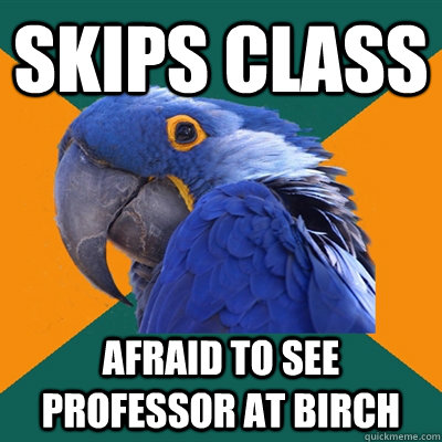 Skips class Afraid to see professor at Birch  Paranoid Parrot