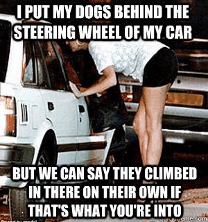 I put my dogs behind the steering wheel of my car But we can say they climbed in there on their own if that's what you're into  Karma Whore