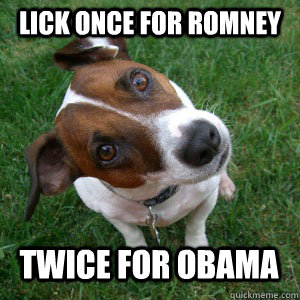 Lick once for Romney Twice for Obama - Lick once for Romney Twice for Obama  Confused Dog