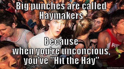 BIG PUNCHES ARE CALLED HAYMAKERS BECAUSE WHEN YOU'RE UNCONSCIOUS, YOU'VE 