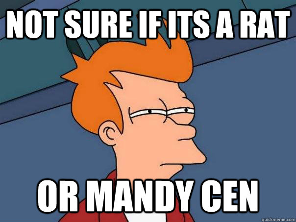 not sure if its a rat or mandy cen  Futurama Fry
