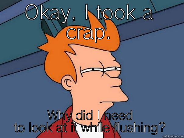 OKAY, I TOOK A CRAP. WHY DID I NEED TO LOOK AT IT WHILE FLUSHING? Futurama Fry