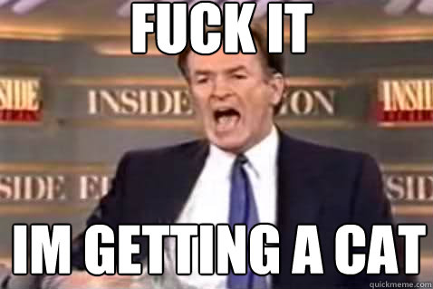 fuck it im getting a cat  Fuck It Bill OReilly