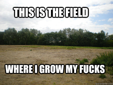 this is the field where i grow my fucks - this is the field where i grow my fucks  Fuck Field