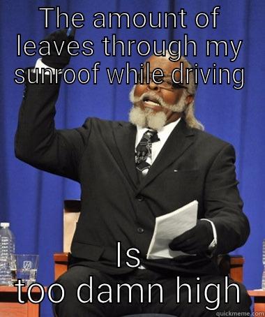 Sunroof leaves - THE AMOUNT OF LEAVES THROUGH MY SUNROOF WHILE DRIVING IS TOO DAMN HIGH The Rent Is Too Damn High