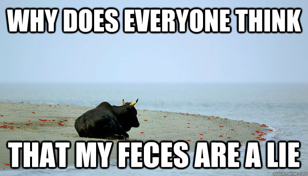 Why does everyone think That my feces are a lie - Why does everyone think That my feces are a lie  Misunderstood Bull
