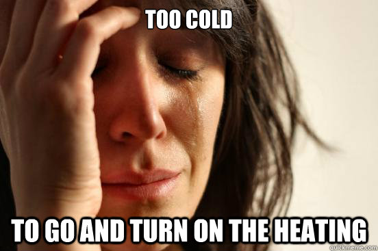 Too cold to go and turn on the heating  First World Problems