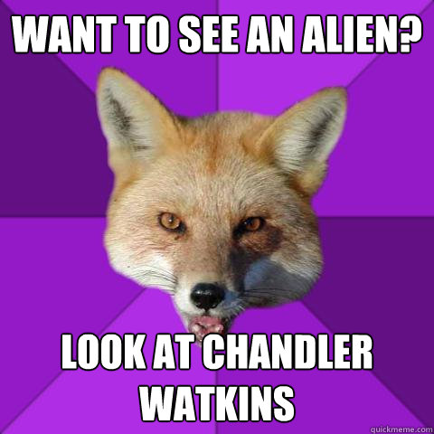 Want to see an alien? Look at Chandler Watkins  Forensics Fox