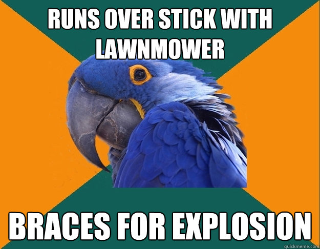 runs over stick with lawnmower braces for explosion  Paranoid Parrot