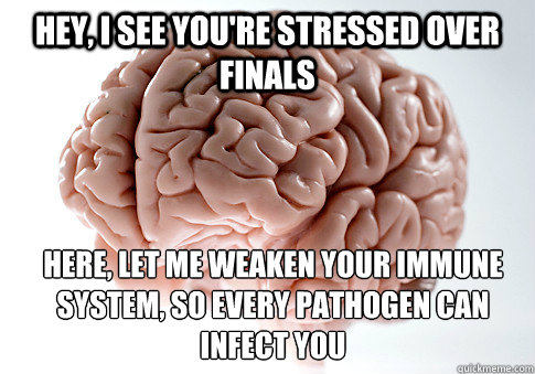 Hey, I see you're stressed over finals Here, let me weaken your immune system, so every pathogen can infect you - Hey, I see you're stressed over finals Here, let me weaken your immune system, so every pathogen can infect you  Scumbag Brain