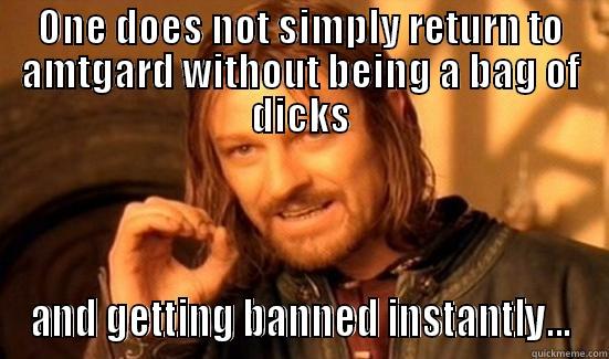 ONE DOES NOT SIMPLY RETURN TO AMTGARD WITHOUT BEING A BAG OF DICKS AND GETTING BANNED INSTANTLY... Boromir