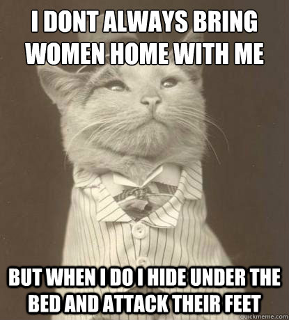 I dont always bring women home with me but when i do i hide under the bed and attack their feet  Aristocat