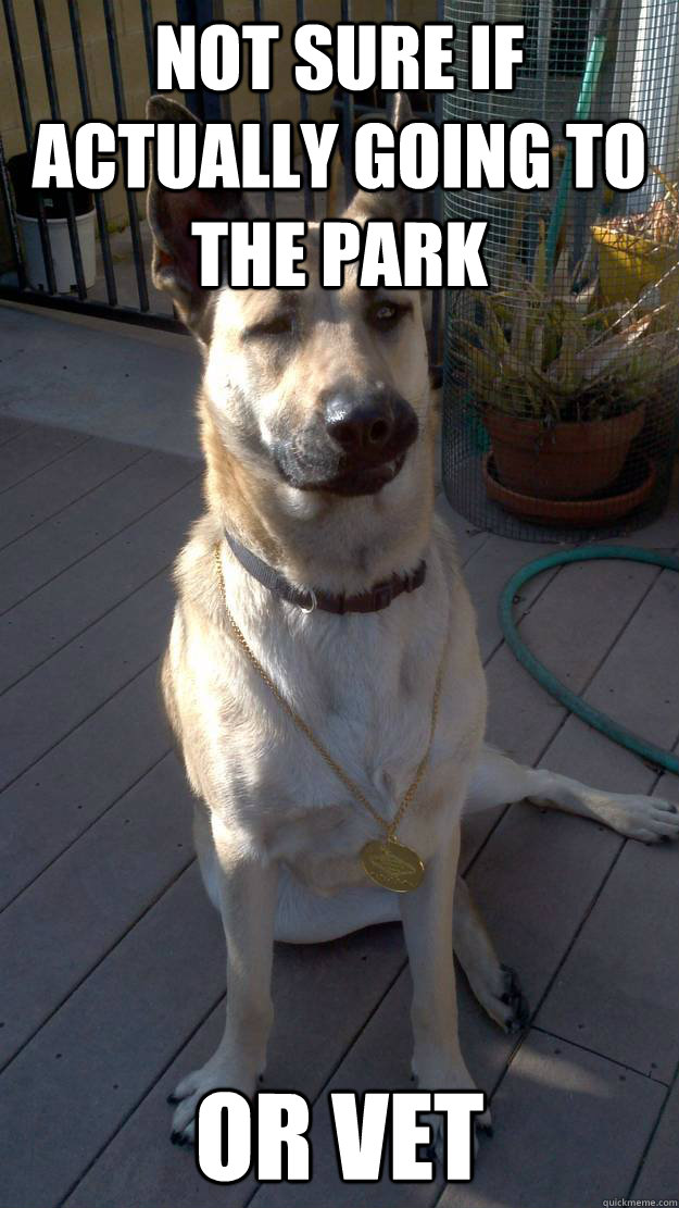 Not sure if actually going to the park or vet - Not sure if actually going to the park or vet  Misc