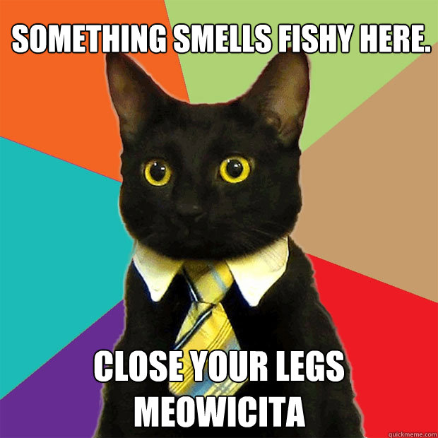 Something smells fishy here. Close your legs Meowicita - Something smells fishy here. Close your legs Meowicita  Business Cat