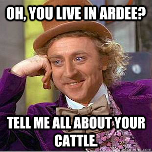 Oh, you live in Ardee? Tell me all about your cattle.  Psychotic Willy Wonka