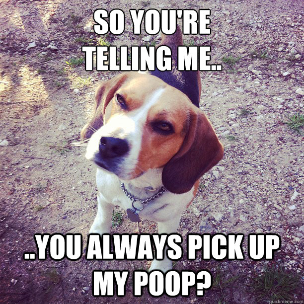 So you're 
telling me.. ..You always pick up my poop? - So you're 
telling me.. ..You always pick up my poop?  The Skeptical Dog
