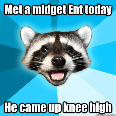 Met a midget Ent today  He came up knee high  Lame Pun Coon