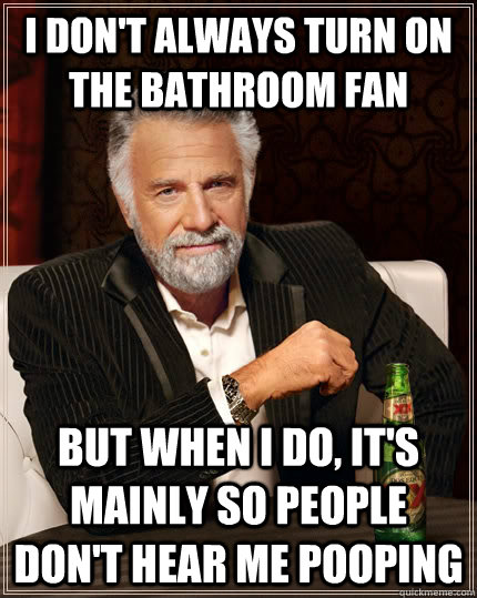I don't always turn on the bathroom fan but when i do, it's mainly so people don't hear me pooping  The Most Interesting Man In The World