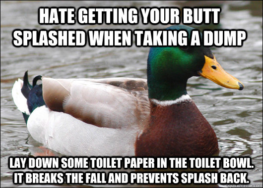 Hate getting your butt splashed when taking a dump Lay down some toilet paper in the toilet bowl. it breaks the fall and prevents splash back.   Actual Advice Mallard