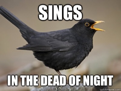 Sings In the dead of night   