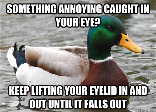 Something annoying caught in your eye? keep lifting your eyelid in and out until it falls out - Something annoying caught in your eye? keep lifting your eyelid in and out until it falls out  Actual Advice Mallard