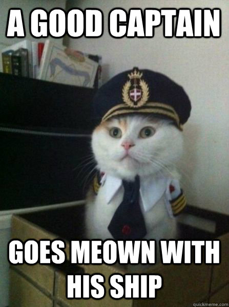 A good captain goes meown with his ship  Captain kitteh