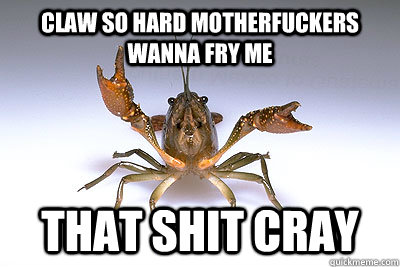 Claw so hard motherfuckers wanna fry me That shit cray  