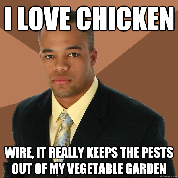 i love chicken wire, it really keeps the pests out of my vegetable garden  Successful Black Man