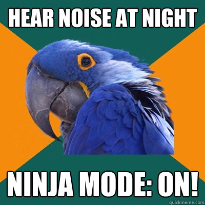 Hear noise at night ninja mode: on!  Paranoid Parrot